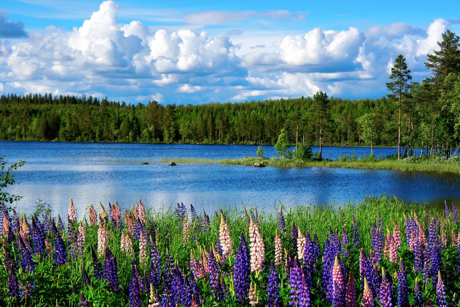 Landscape Photography Landscape Photography